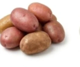 Potato