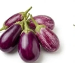 Brinjal