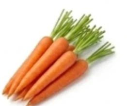 Carrot