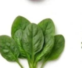 Spinach