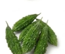 Bitter Gourd