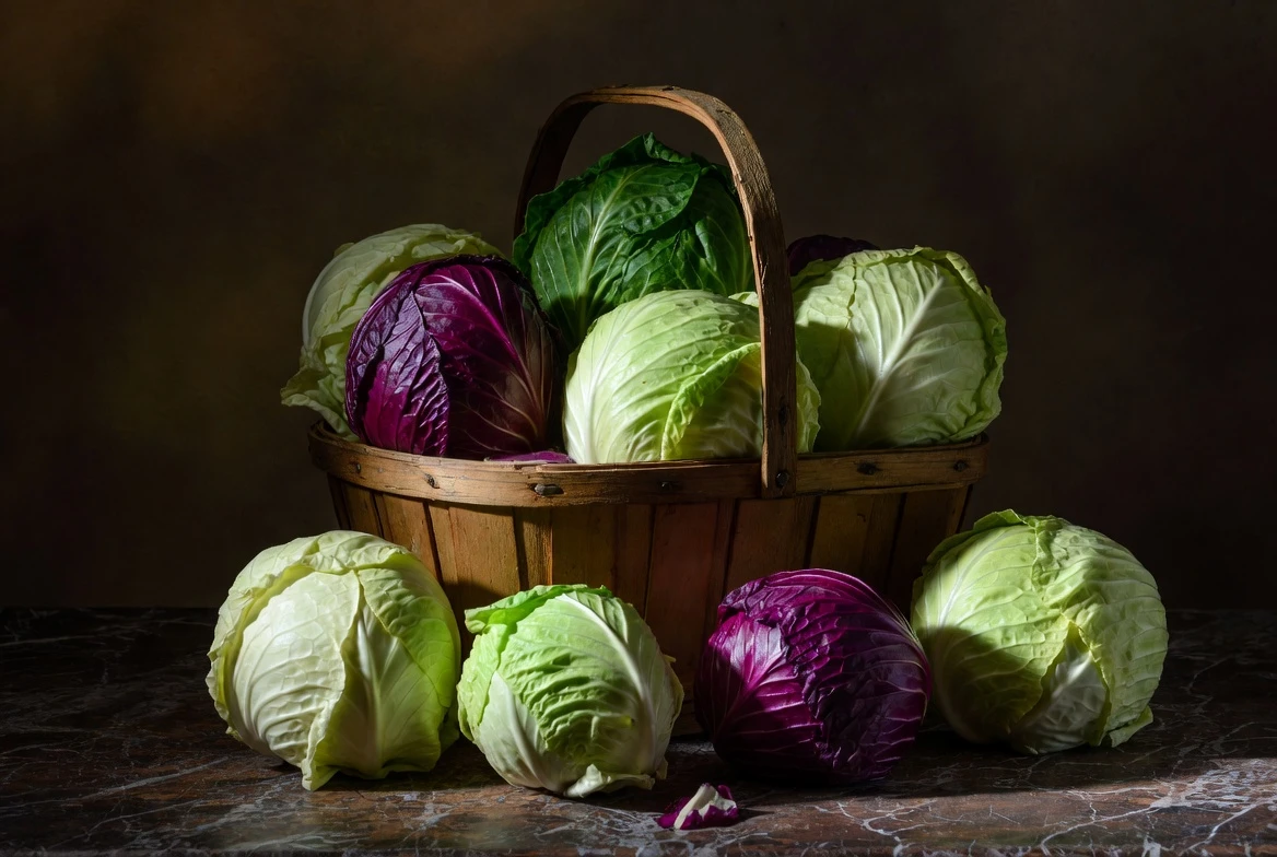 Cabbage